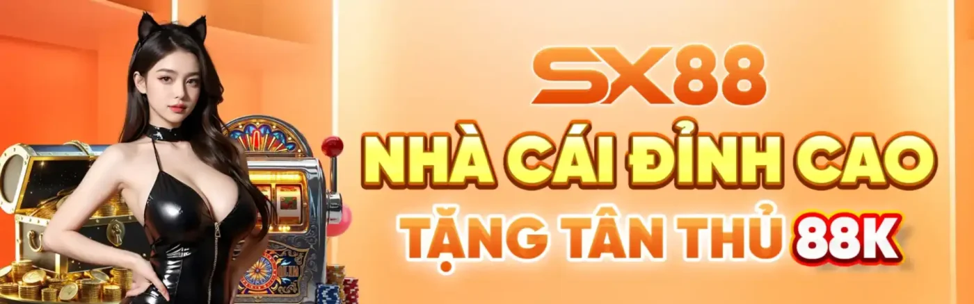 banner sx88